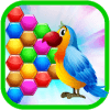 Bird Hexagon Puzzle