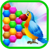 Bird Hexagon Puzzle费流量吗