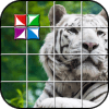 Tile Puzzle White Tiger