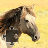 Jigsaw Puzzles with Horses