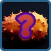 OYM fr版本更新