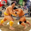 Sumo Wrestling WWE无法打开