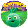 super Sunny Bunnies adventure无法打开