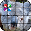 Tile Puzzle Koala Bear