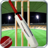 IPL T20 Slider Cricket 2018官方下载