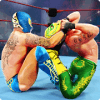 Wrestling Whackdown - Wrestling Gamesiphone版下载