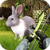 Rabbit Hunt：BowMaster狩猎挑战赛