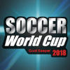 World Cup Soccer Game