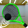 Squash Champion Indoor Ball Sports玩不了怎么办