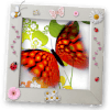 Butterfly Raising - My Butterfly garden绿色版下载