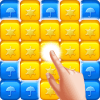 Toy Block Puzzle版本更新