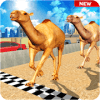 Camel Desert Race Simulator - Animals Racing 3D