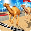 游戏下载Camel Desert Race Simulator - Animals Racing 3D