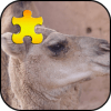 Camel Jigsaw Puzzles Game