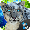 Ultimate Snow Leopard Family Jungle Survival无法打开