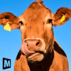 Euro Farm Simulator: Livestock