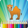 Camel Coloring Book