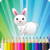 Rabbit Coloring Book破解版下载