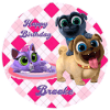 Puppy dog Pals **怎么安装