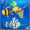 Fishing Color Sea破解版下载