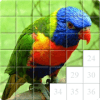 Guess the Bird. Tile Puzzle.