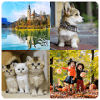 Jigsaw Puzzles Collection