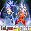 DBS Final Battle