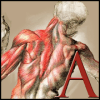 L'Anatomista il quiz Italiano di anatomia免费下载