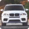 X5 Racing Simulator安卓版下载