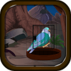 Bird Rescue From Forest : Escape Games Play-203绿色版下载