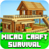 * Micro craft Explor Game