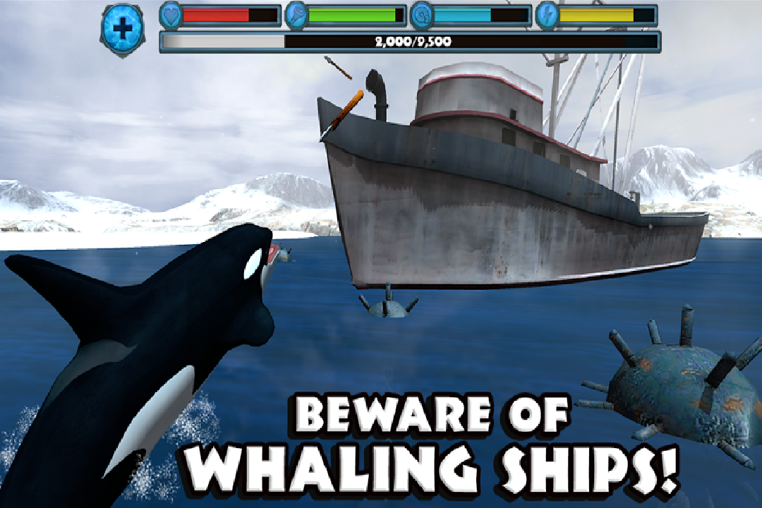 虎鲸模拟（免费版）好玩吗 虎鲸模拟（免费版）玩法简介