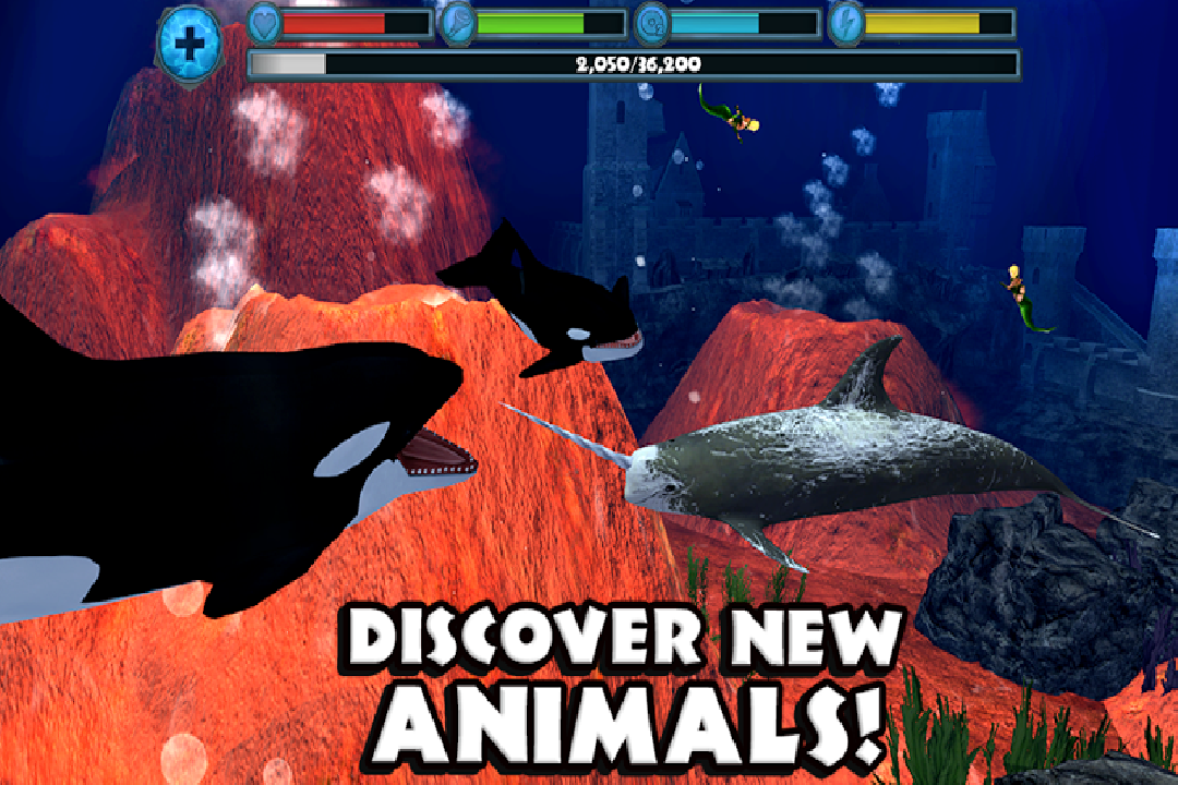 虎鲸模拟（免费版）好玩吗 虎鲸模拟（免费版）玩法简介