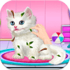 Cute Kitty care game玩不了怎么办