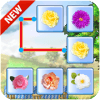 Onet Flowers : Onet Klasik 2018无法安装怎么办