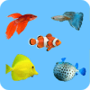 Learning Name Of Fishes - practice, test, sound