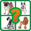 Popular Dog Breeds Quiz绿色版下载