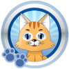 Cat Toys I: Games for Cats
