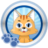 Cat Toys I: Games for Cats破解版下载