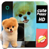 Puppy for Piano Tiles 2玩不了怎么办