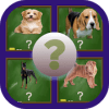 Beautiful dogs breeds版本更新