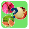 Tebak Gambar Buah advanced在哪下载