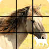 Horse Slide Puzzle