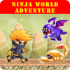 Ninja World Adventure如何升级版本