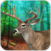 Forest Professional Hunter 2018- Deer Hunter Knife