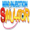 Mini Injection Simulator无法打开