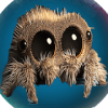 Lucas Spider Music版本更新