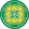 LimeWire - Free Mp3 Music Download无法打开