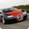 Bugatti and Ferrari Game