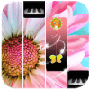 Beautiful Flower Piano Tiles